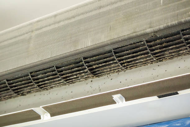 Best Affordable Air Duct Cleaning  in Chesterfield, IN