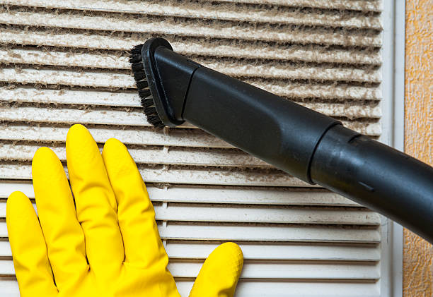 Best Duct Cleaning for Homes  in Chesterfield, IN